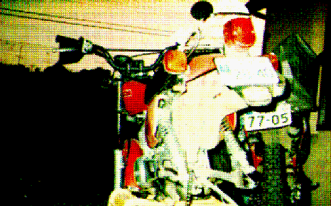 XL50S striped down / $BMg$N(BXL50S